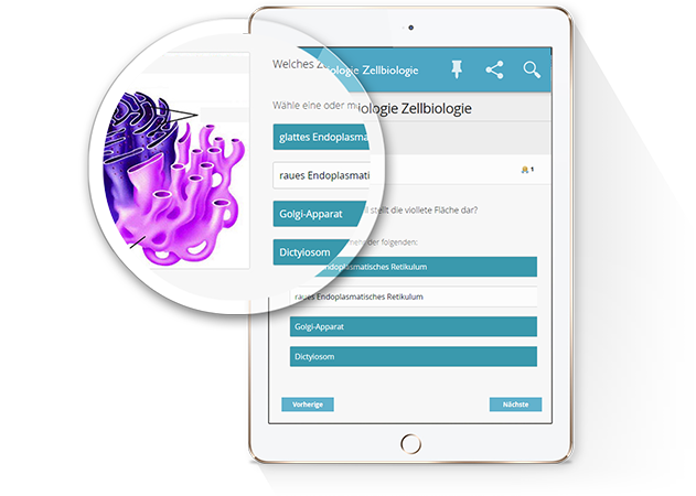 Binde dein Quiz online ein