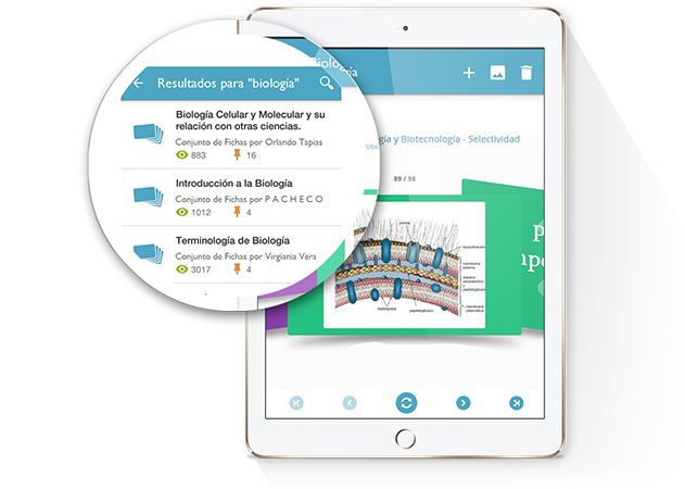 Flashcards iPad