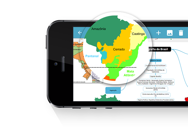 mapas mentais